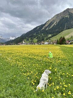Foto von Dr. Katarzyna Milkowska-Leyck entlang der Tour