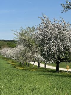 Photo de Stephan Schubert le long du parcours