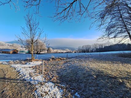 Foto von Bernadette Erla entlang der Tour