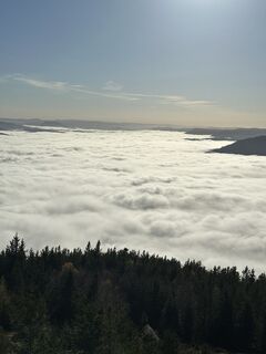 Zdjęcie z Maxime muller wzdłuż trasy