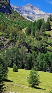 Photo de Fabrizi Mellano le long du parcours