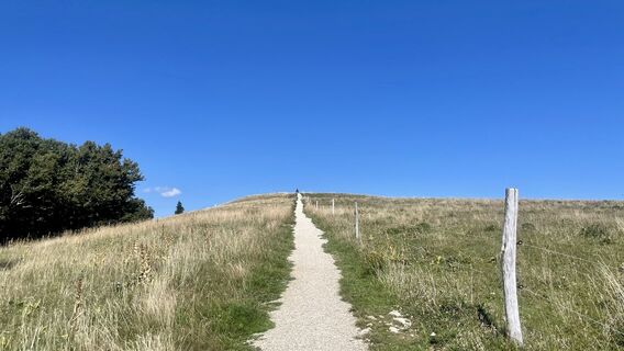 Fotografie de la michael lierka de-a lungul turului