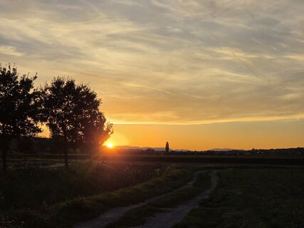 Foto von Gobi entlang der Tour