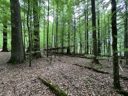 Photo de Volki F. le long du parcours