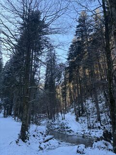 Foto von tiefblauesmeer entlang der Tour