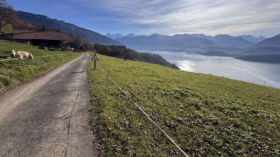 Foto da peter_oe lungo il tour