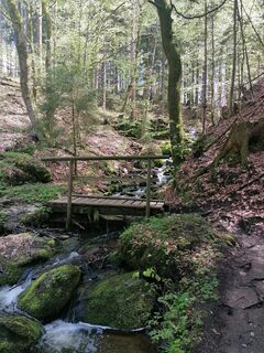 Fotografie z Dagmar Hofer na trase