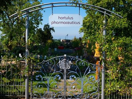 Apothekergarten auf dem Nunzenberg