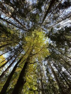 Foto de Gerald a lo largo del recorrido