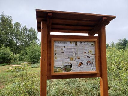 Schautafel am Bienenpfad Gross Oesingen.jpg