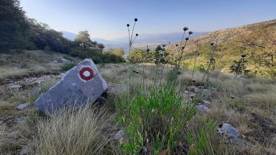 Foto von Aga M entlang der Tour