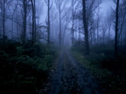 Zdjęcie z DeliciousDom wzdłuż trasy