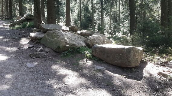 Fotografia z Georg Meisterjahn na trase