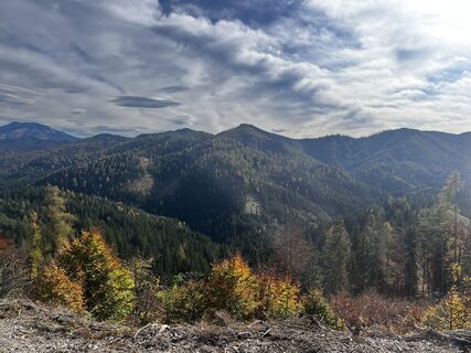 Fotografija s spletne strani tabaszabi na poti