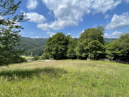 Fotografie z Uwe Puttenat na trase