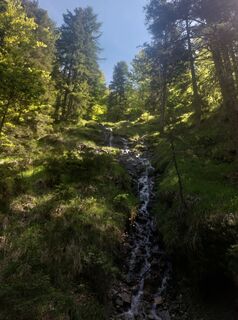 Foto von sonja krumrey entlang der Tour