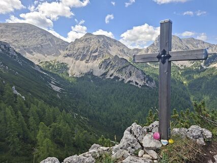Photo de Berger le long du parcours