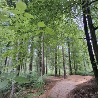 Kathi Truppe Trail T52