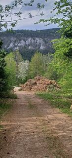 Fotografija s spletne strani Ewald Reil 1 na poti