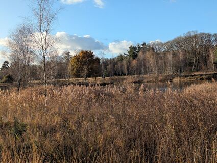 Foto de Matje Derks a lo largo del recorrido