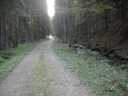 Norwaldstrecke