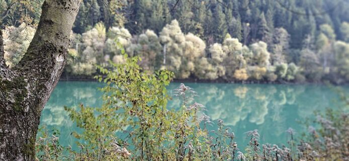 Fotografia z Helmut na trase