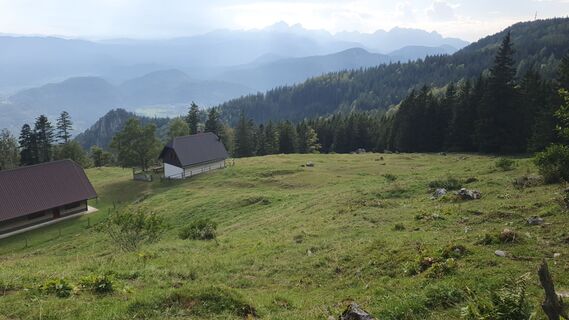 Fotografia z Anica varga na trase