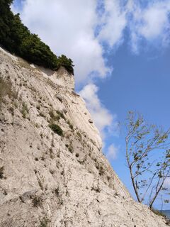 Foto de Wolfgang0 a lo largo del recorrido