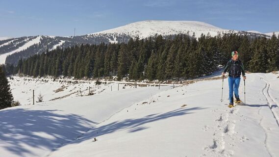 Über den meist präparierten Forstweg, führt eine Langlaufloipe und ein Winterwanderweg