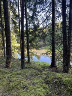 Foto von Vladik82 entlang der Tour