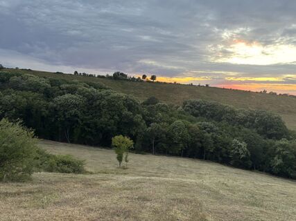 Photo de Reti Alicia le long du parcours