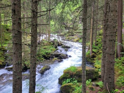 Fotografija s spletne strani mmecki na poti