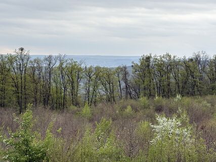 Fotografija s spletne strani Wanda M-V na poti