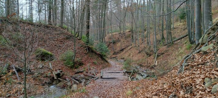 Foto de Sylwiasuchy76 a lo largo del recorrido