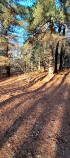 Foto von COSIMO SERRA entlang der Tour