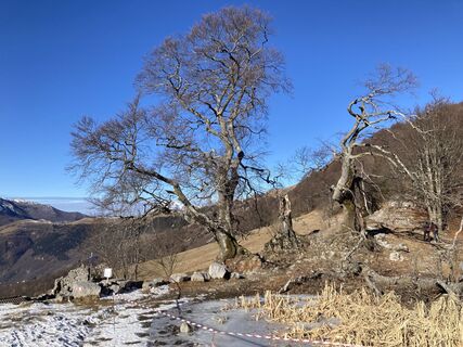 Fotografia z Marilena Locatelli na trase