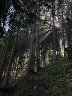 Fotografie z Lea Sophie Steinhäußer na trase