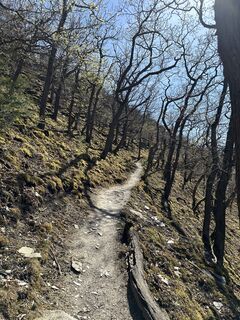 Photo from Даниил Пальчиков along the tour