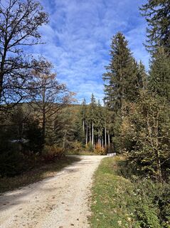 Photo de Heinz Sperl le long du parcours