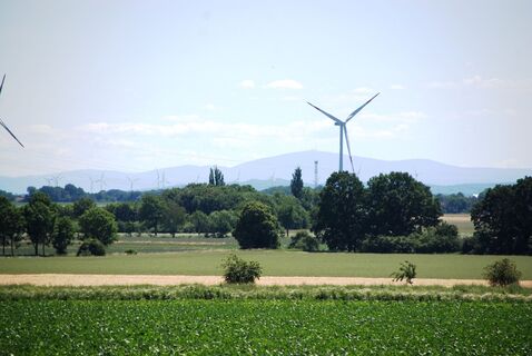 Blick auf den Harz