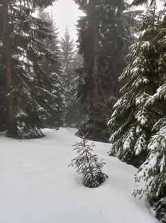 Fotó a Wolfgang Doppelhammer honlapról a túra során
