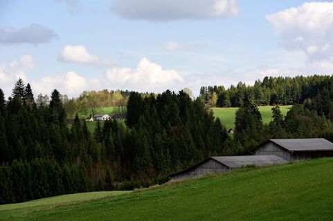 Friesenhof-Wanderweg