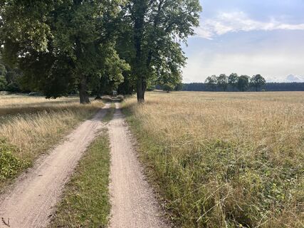 Fotografija s spletne strani Carlos.Randow na poti