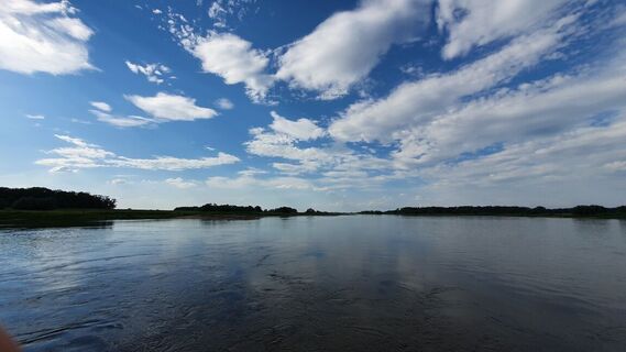 Elbelandschaft in der Altmark