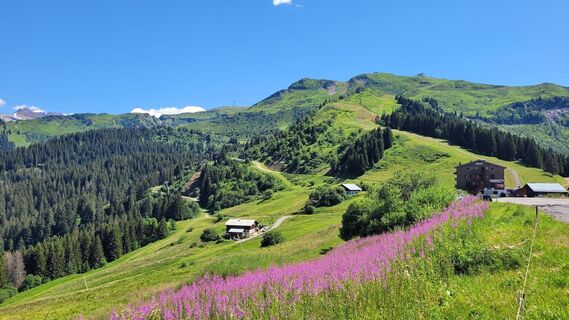Photo de Bruno C. le long du parcours