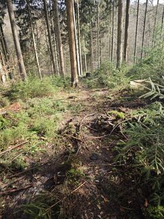 Fotografie z Björn Heun na trase