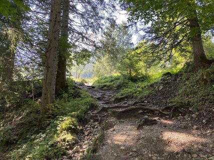 Foto de justasimpleguy a lo largo del recorrido