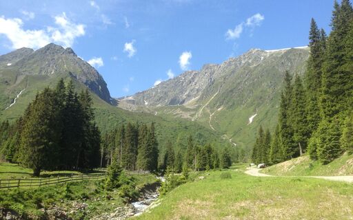IMG_4539.jpg
