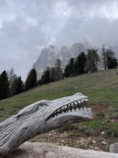 Foto von Holger Hofmann entlang der Tour