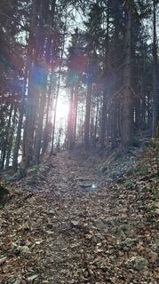 Foto von Jordy entlang der Tour